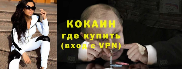 мет Бородино