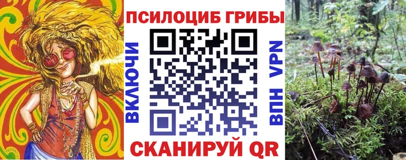 что такое   Мелеуз  Галлюциногенные грибы GOLDEN TEACHER 
