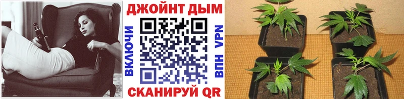Марихуана семена  продажа наркотиков  Мелеуз 